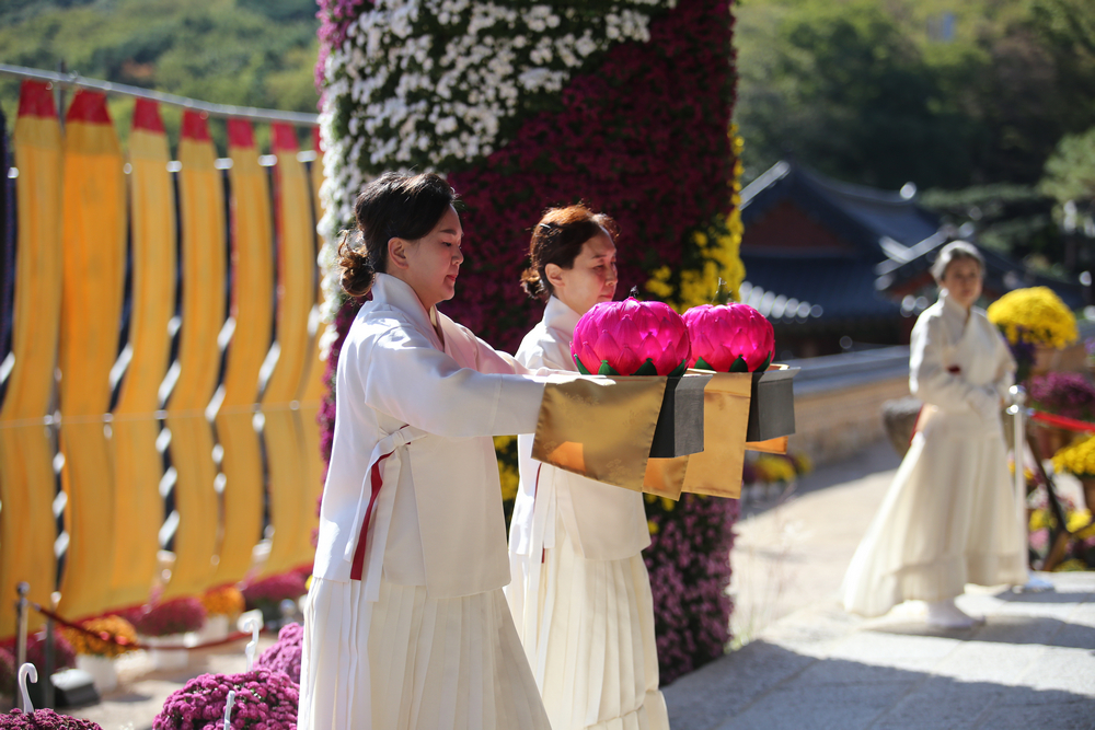 이미지 대체문구를 입력하세요